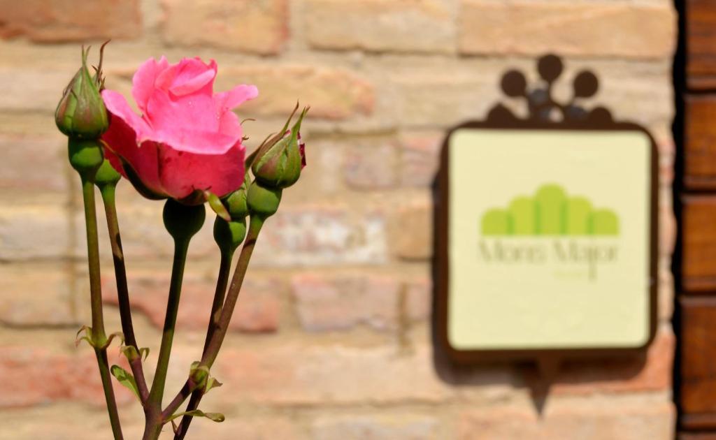 Mons Major Relais Villa Montemaggiore al Metauro Kültér fotó